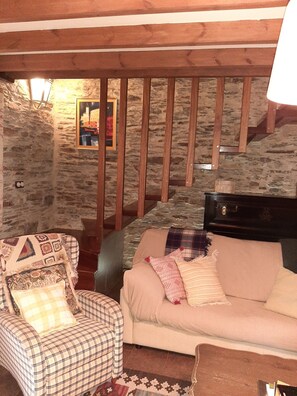 TV, fireplace, books