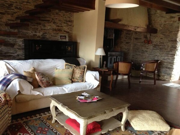 TV, fireplace, books