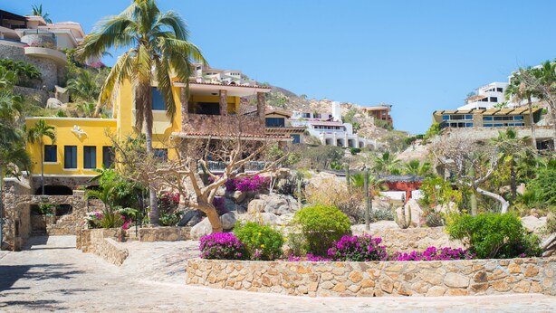 A hillside residential area with houses, a palm tree, and a stone wall. - Luxury Private Villa-  Walk to Town, Pedregal, WiFi... (Cabo San Lucas)