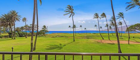 Àrea exterior de l'allotjament