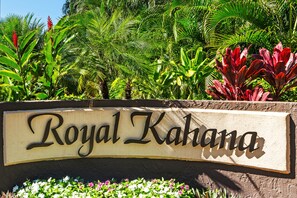 A sign with the name 'Royal Kahuna' surrounded by lush greenery and flowering plants.