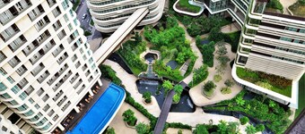 Holi Afiniti Themed Suites