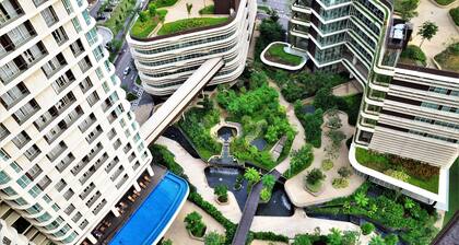 Holi Afiniti Themed Suites