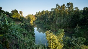 A serene river surrounded by dense greenery and tall trees. - Fanush Resort (Bandarban)