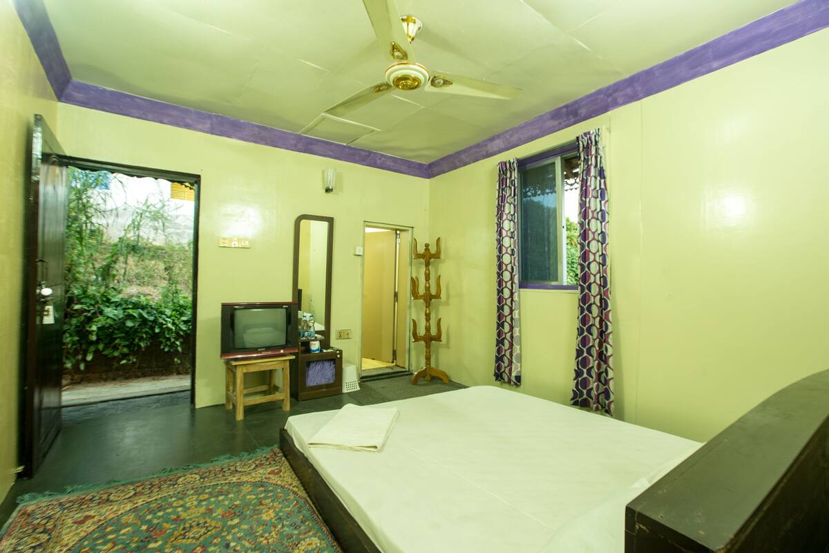 Una habitación de hotel con cama, televisor, espejo y ventilador de techo.