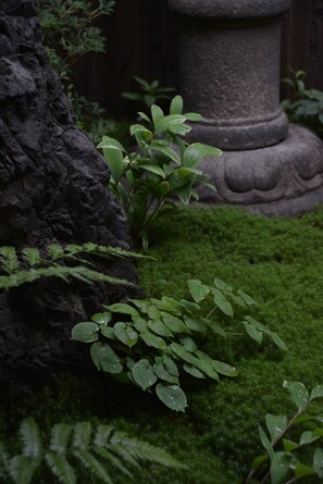 Garden - Guesthouse Bokuyado - Hostel (Kyoto)