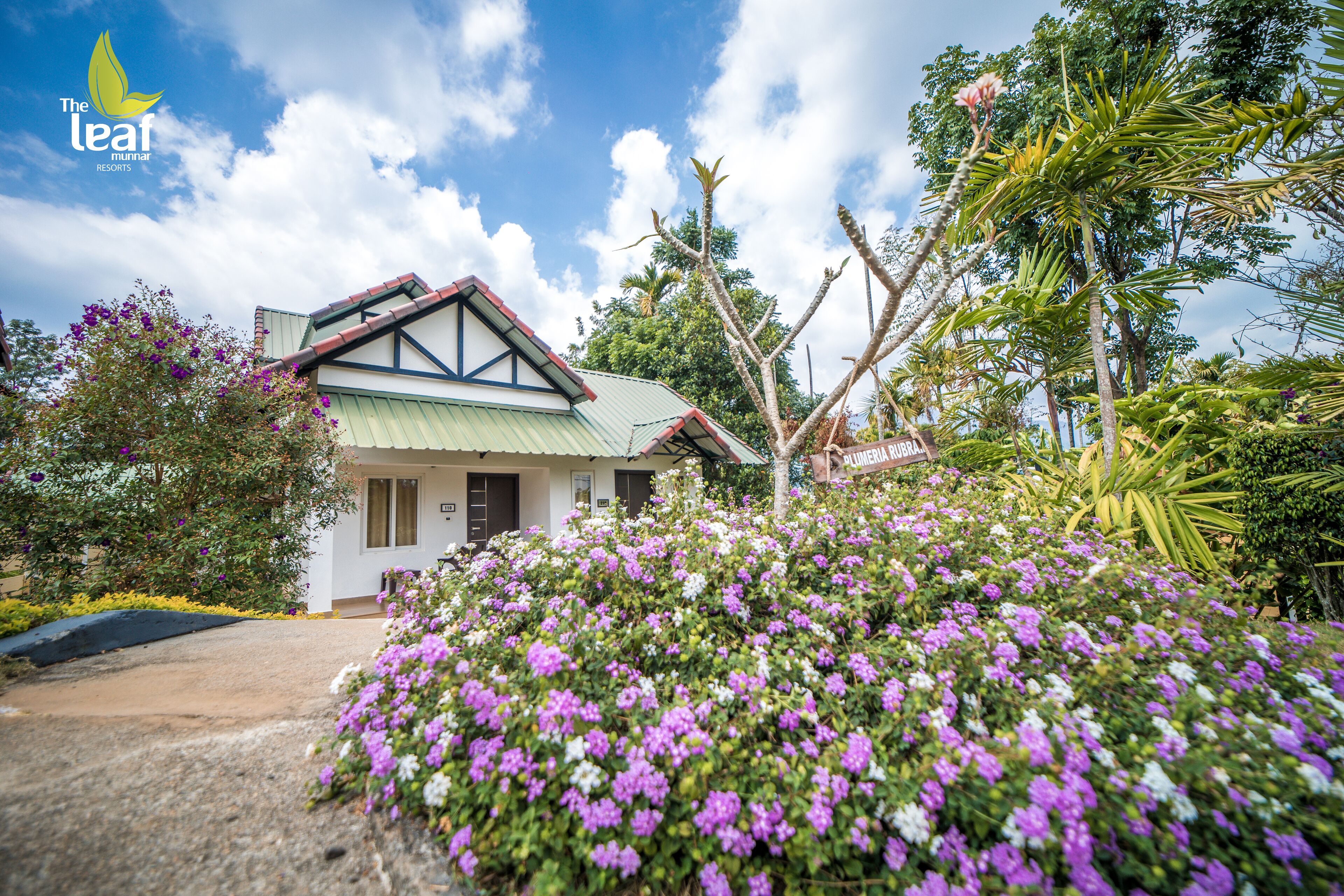A bungalow-style hotel with a green roof, surrounded by lush greenery and flowering plants.