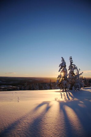A snowy landscape with two snow-covered trees and a clear sky. - Byvägen 30 Bed & Breakfast (Idre)
