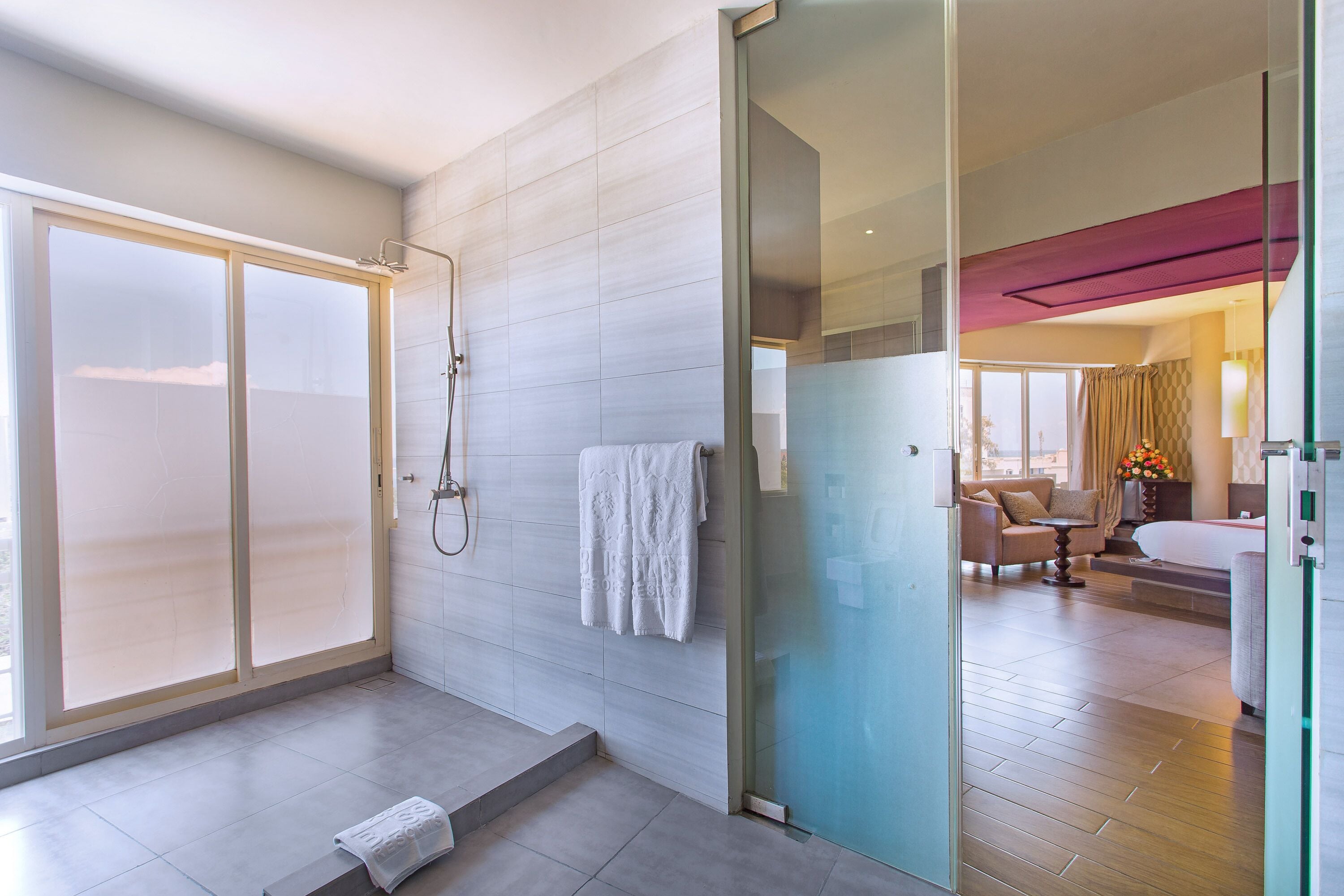Une salle de bain moderne avec une douche à parois de verre, un porte-serviettes et une marche visible menant à une chambre.