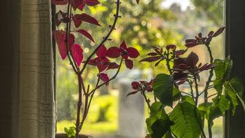 Free minibar items, desk, free cots/infant beds, free WiFi