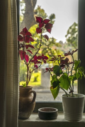 Free minibar items, desk, free cribs/infant beds, free WiFi