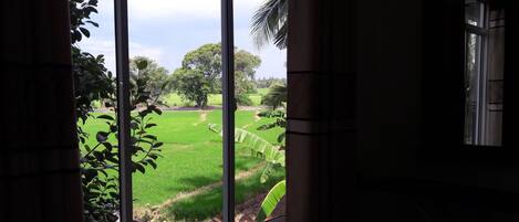 Vista a través de una ventana: un campo verde con árboles y cielo despejado.