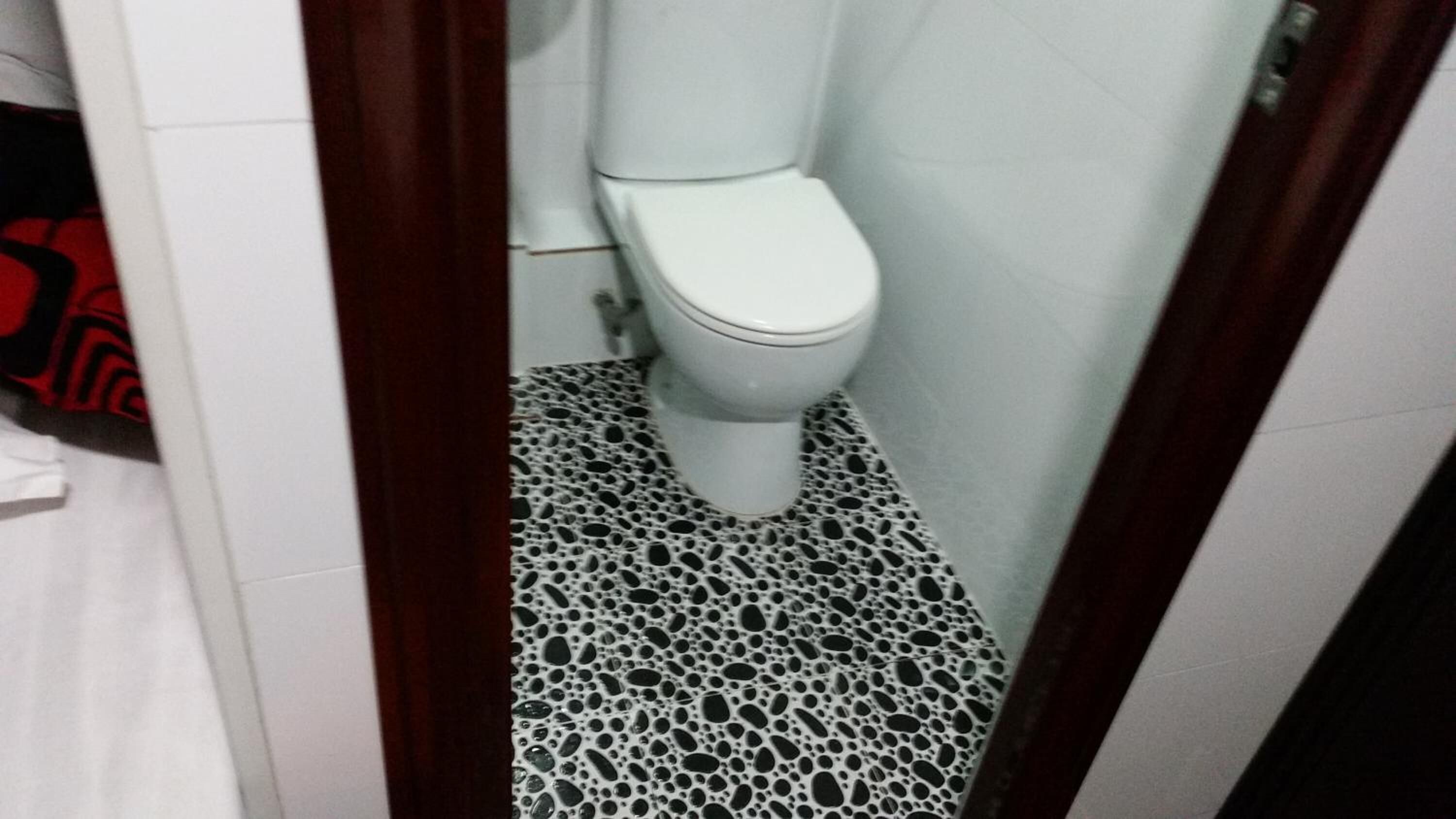 A bathroom with a white toilet, a patterned floor, and a wooden door frame.