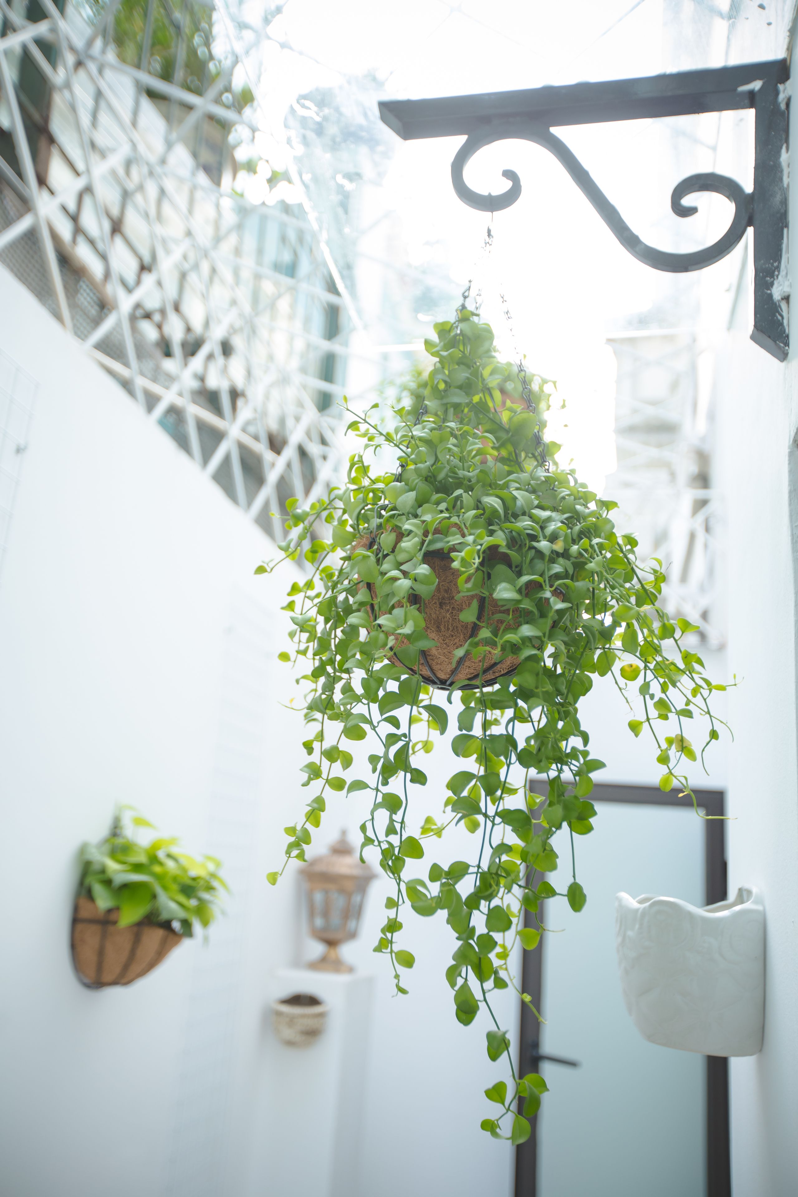 Photo - Dinh Elegant Hanoi Hotel