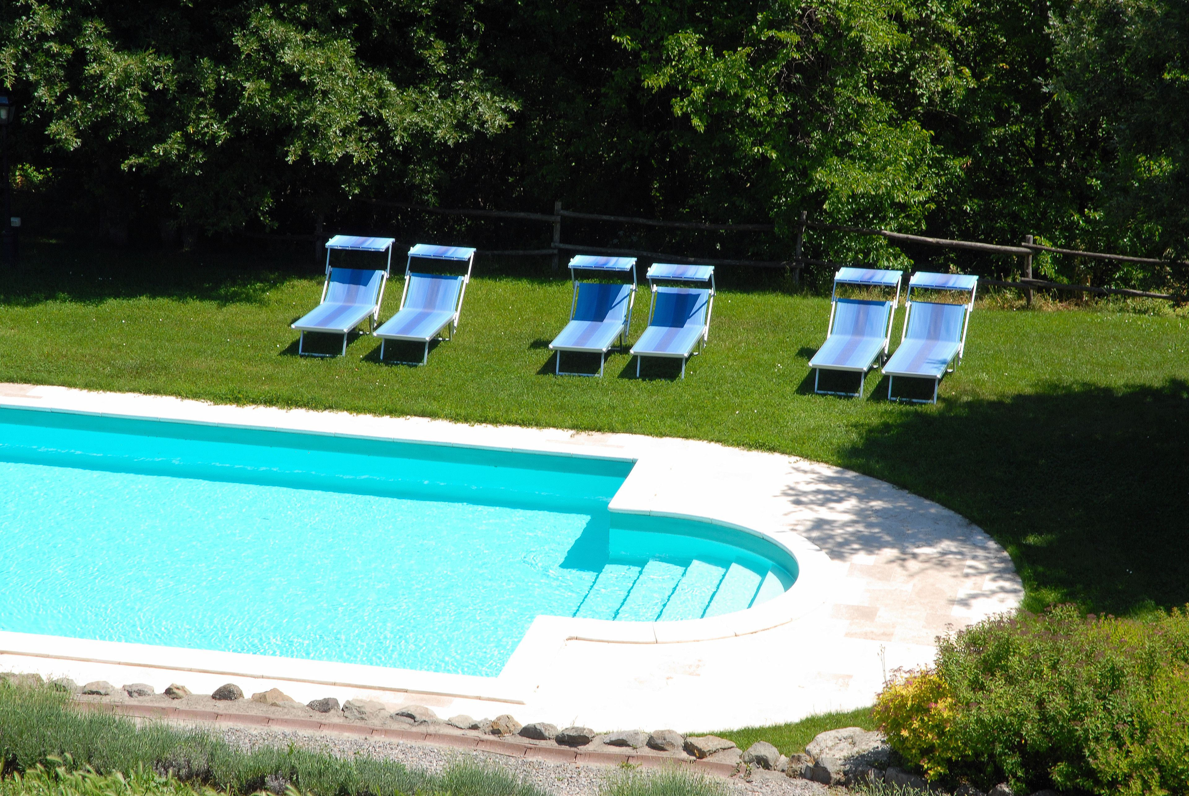 Una piscina de borde curvo, rodeada por una zona ajardinada con cinco sillas de descanso alineadas.