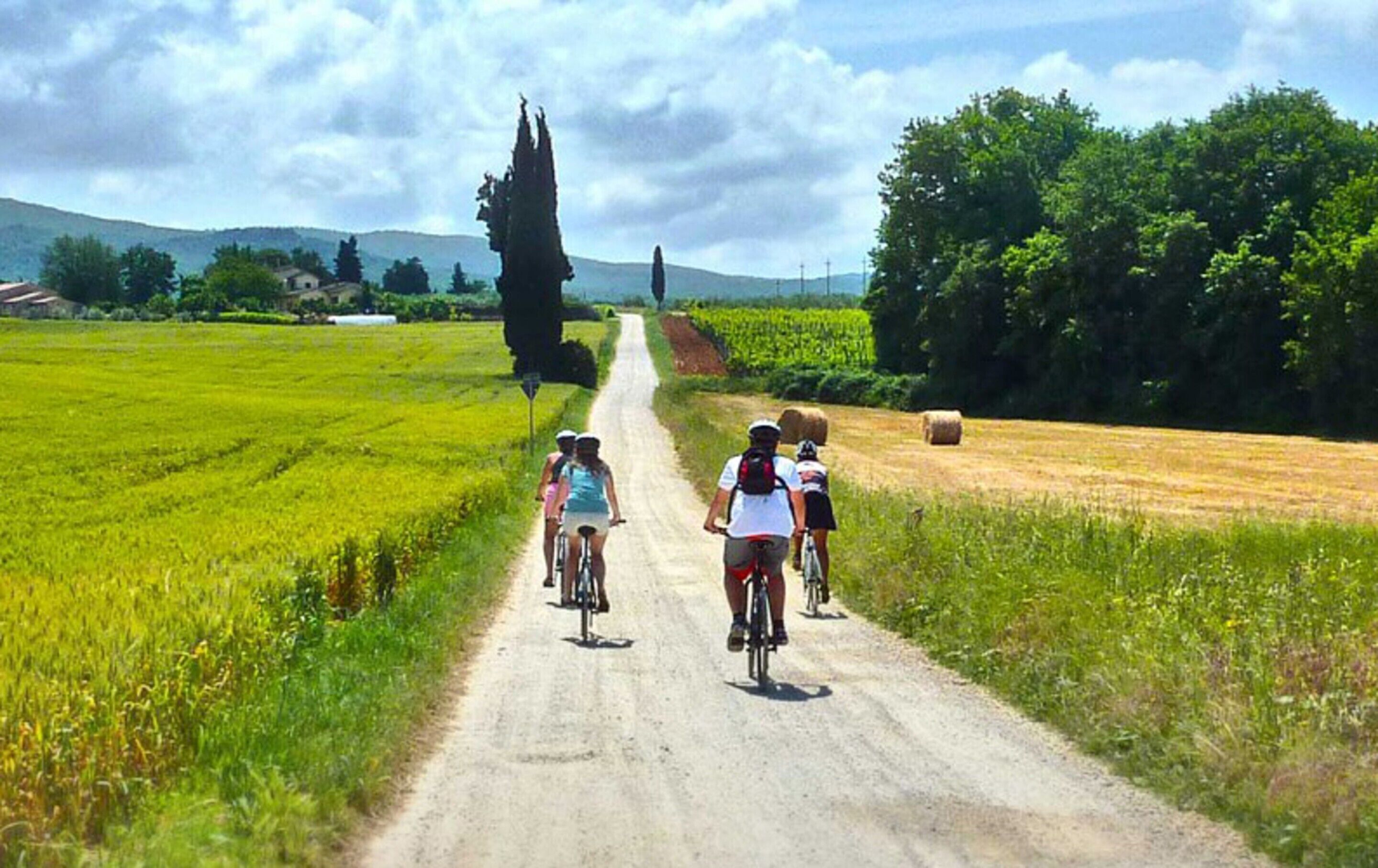 Een landweg met fietsers, omgeven door velden en bomen.