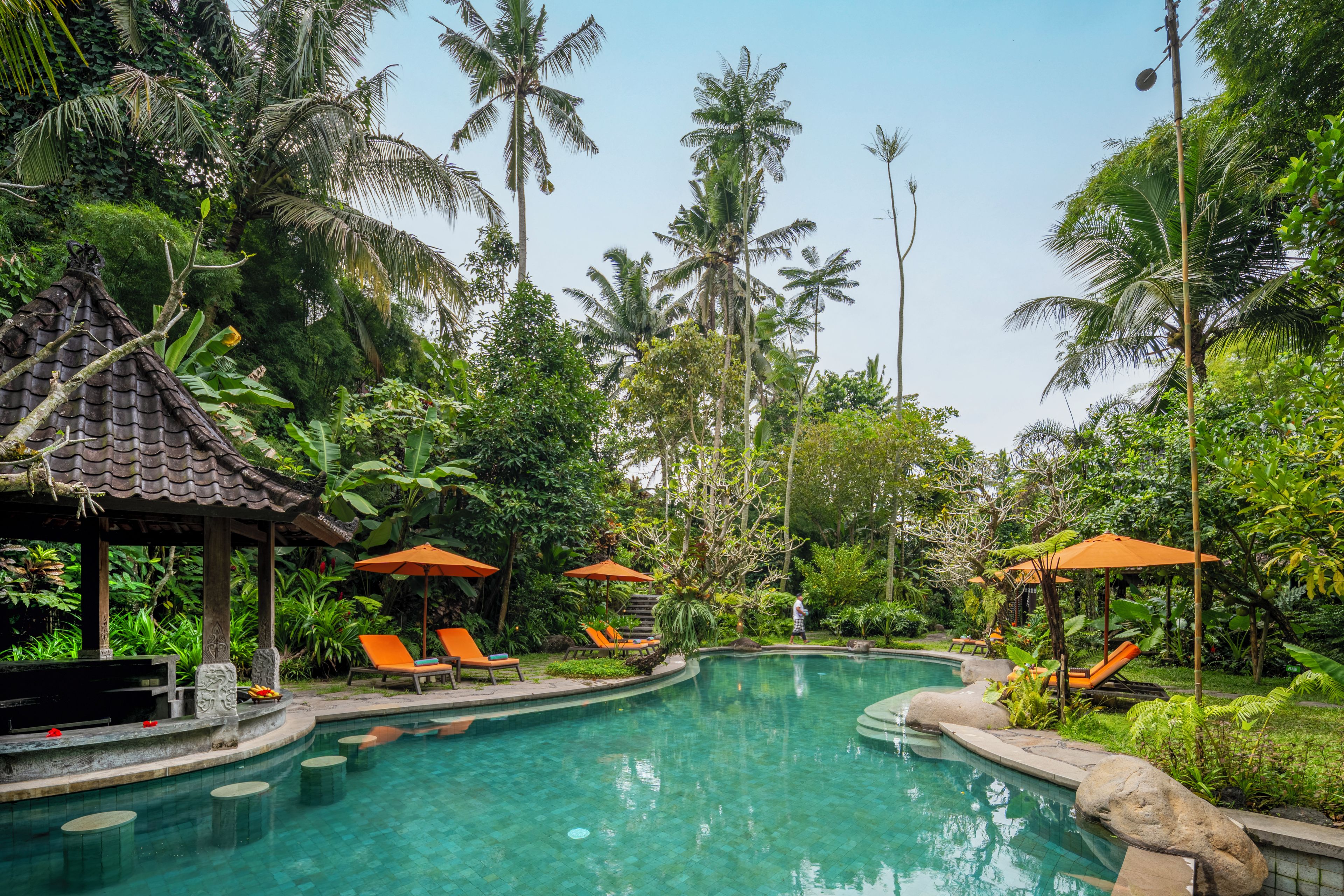 A pool surrounded by palm trees and lounge chairs.