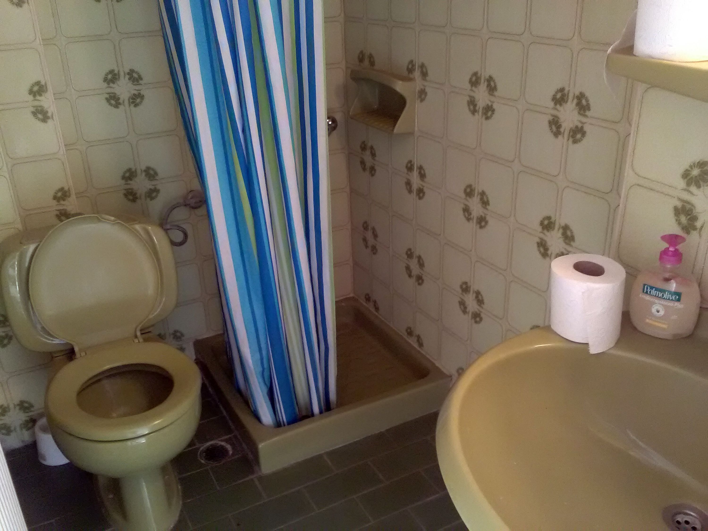A bathroom with a toilet, a shower curtain, a sink, and a toilet paper roll.