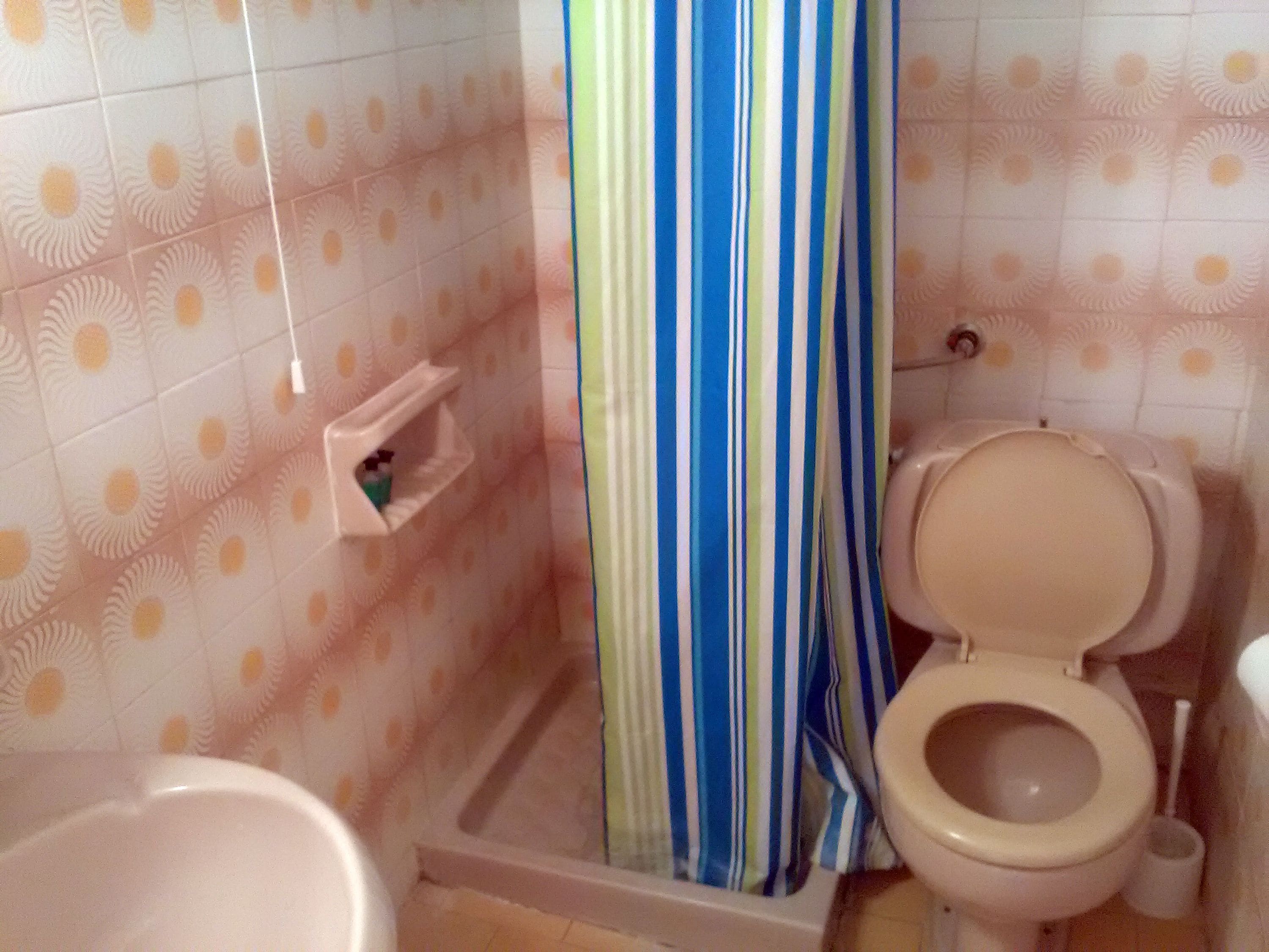 Un baño con inodoro, cortina de ducha y un estante pequeño con artículos de aseo.