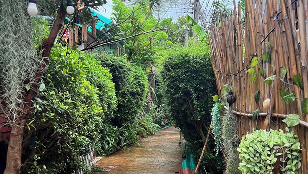 A narrow brick pathway flanked by lush greenery and bamboo structures. - Se Sun Amphawa (Amphawa)
