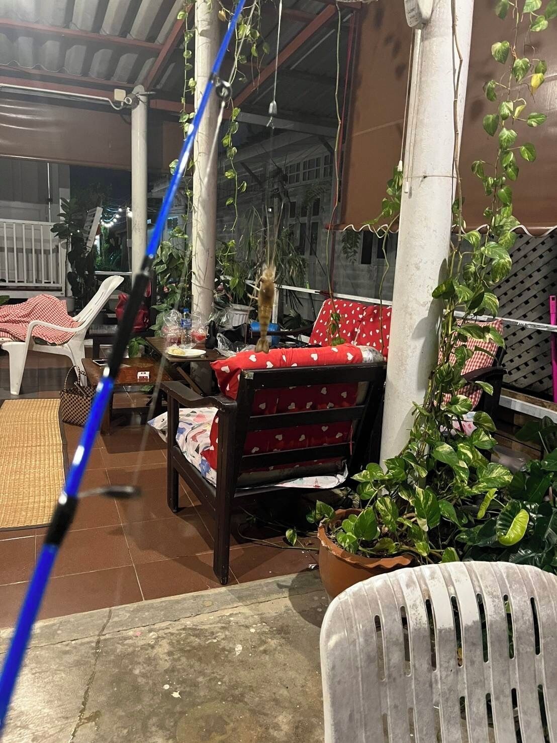 Un espace extérieur aménagé avec des sièges, abrité par un auvent, comprenant un canapé rouge et blanc à motifs, une chaise en plastique blanche et divers pots de plantes.
