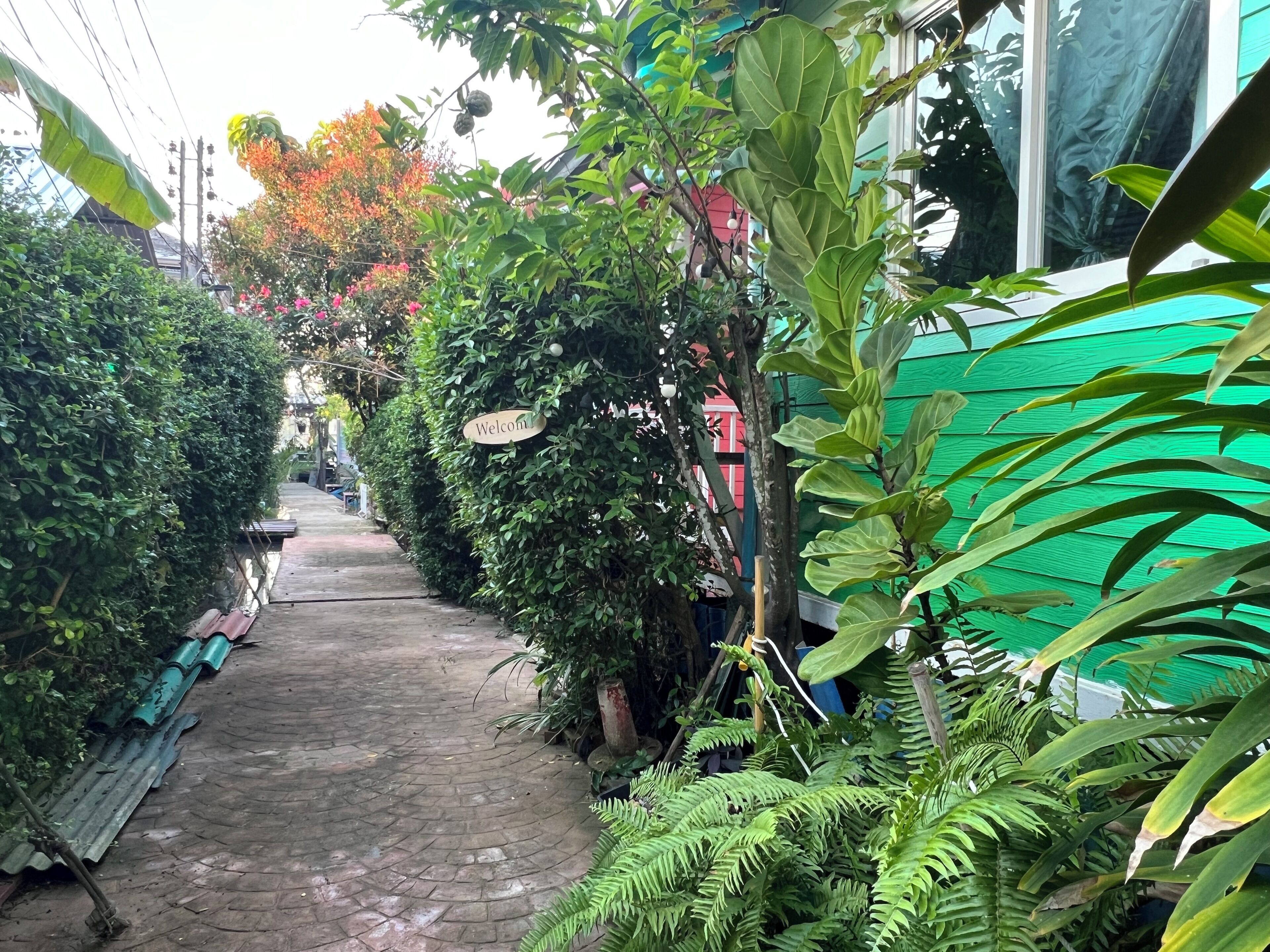 Un sendero pavimentado estrecho bordeado por vegetación densa y una estructura verde.
