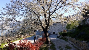En bygning i sten med en belagt indkørsel og et træ med hvide blomster foran.