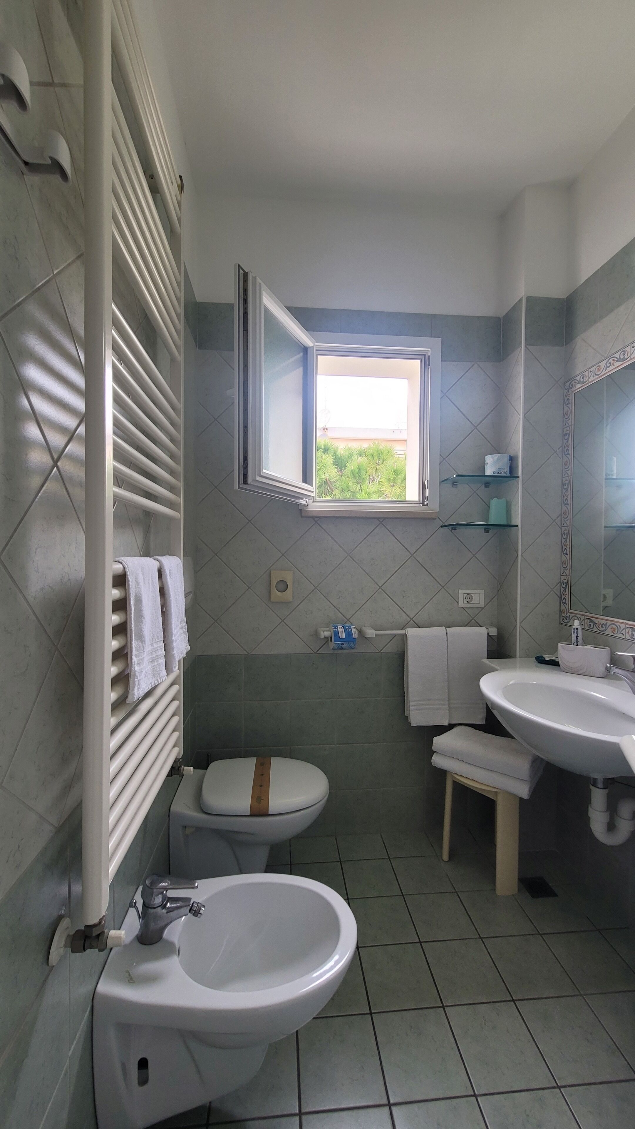 shower, free toiletries, hair dryer, bidet