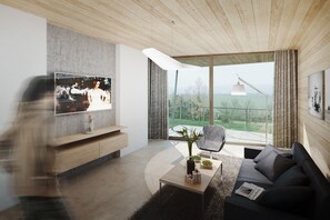 Flat-screen TV