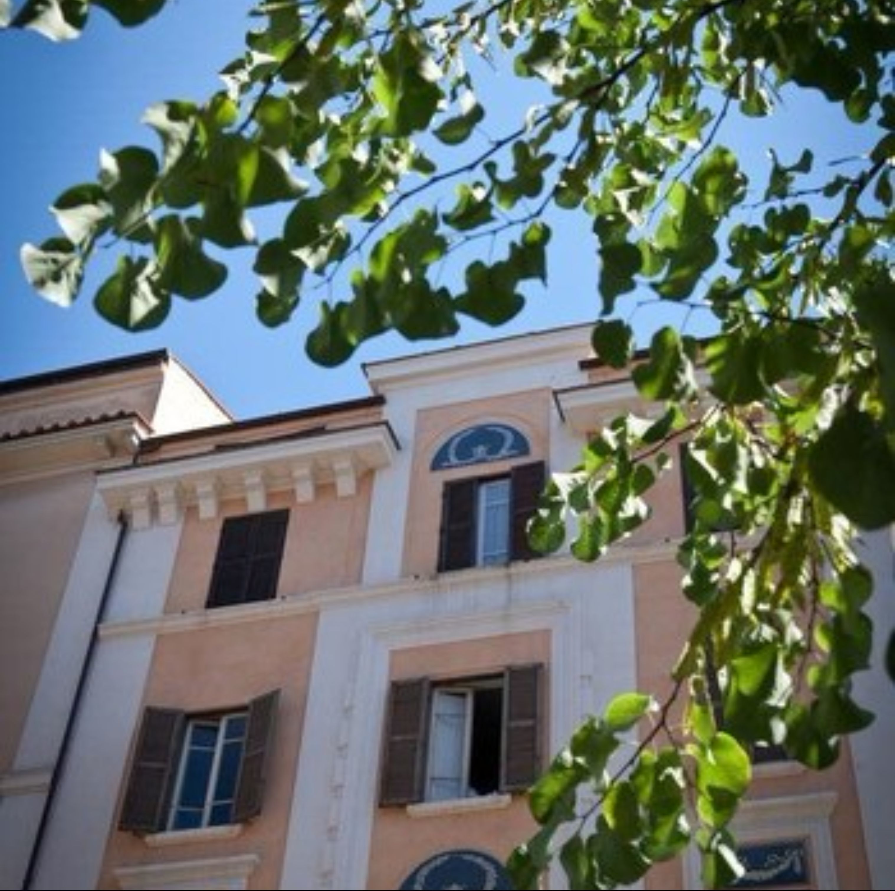 Photo - My Bed Vatican Museum