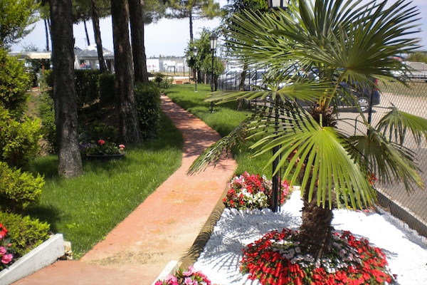 Jardin