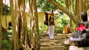 A pathway surrounded by trees leading to a building with a thatched roof. - Home The Residence (Nosy Be)
