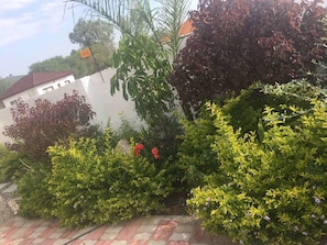 Jardin