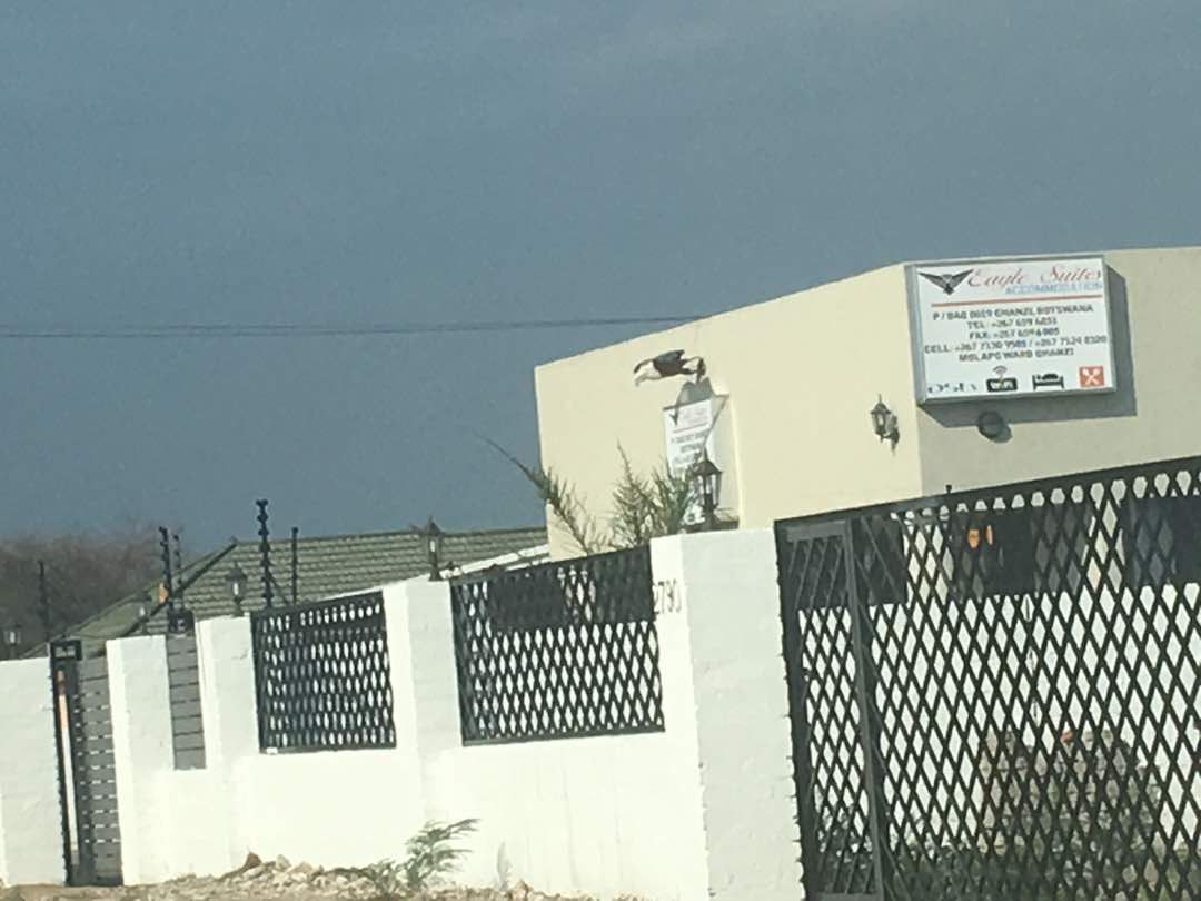 A gated building with a signboard indicating 'Eagle Suites' and contact information.