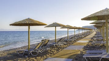 Plage, chaises longues, parasols, bar de plage