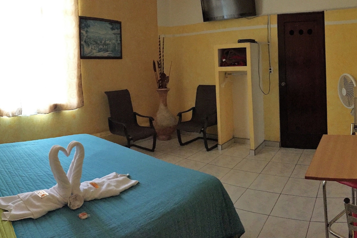 Habitación básica, 1 cama King size | Tabla de planchar con plancha y wifi gratis