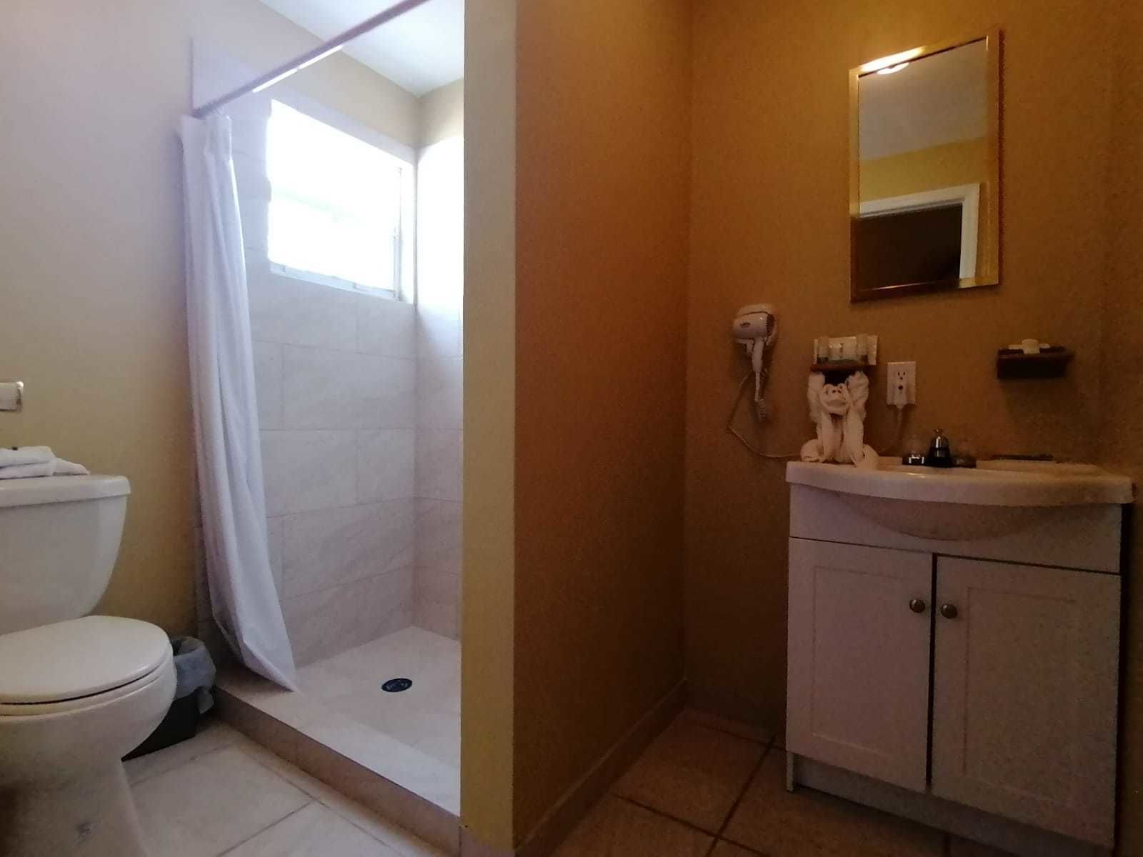 Une salle de bain avec douche, toilettes et lavabo.