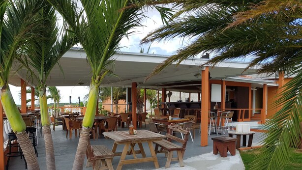 Un espace extérieur aménagé avec des tables et des chaises en bois, entouré de palmiers.