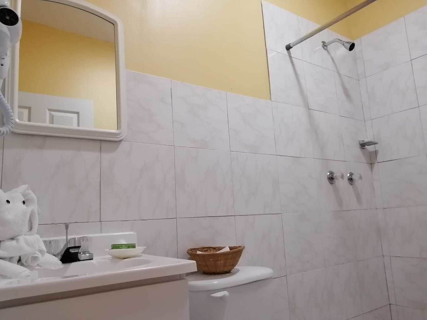 Une salle de bain avec un lavabo blanc, un miroir, des toilettes et un espace douche.