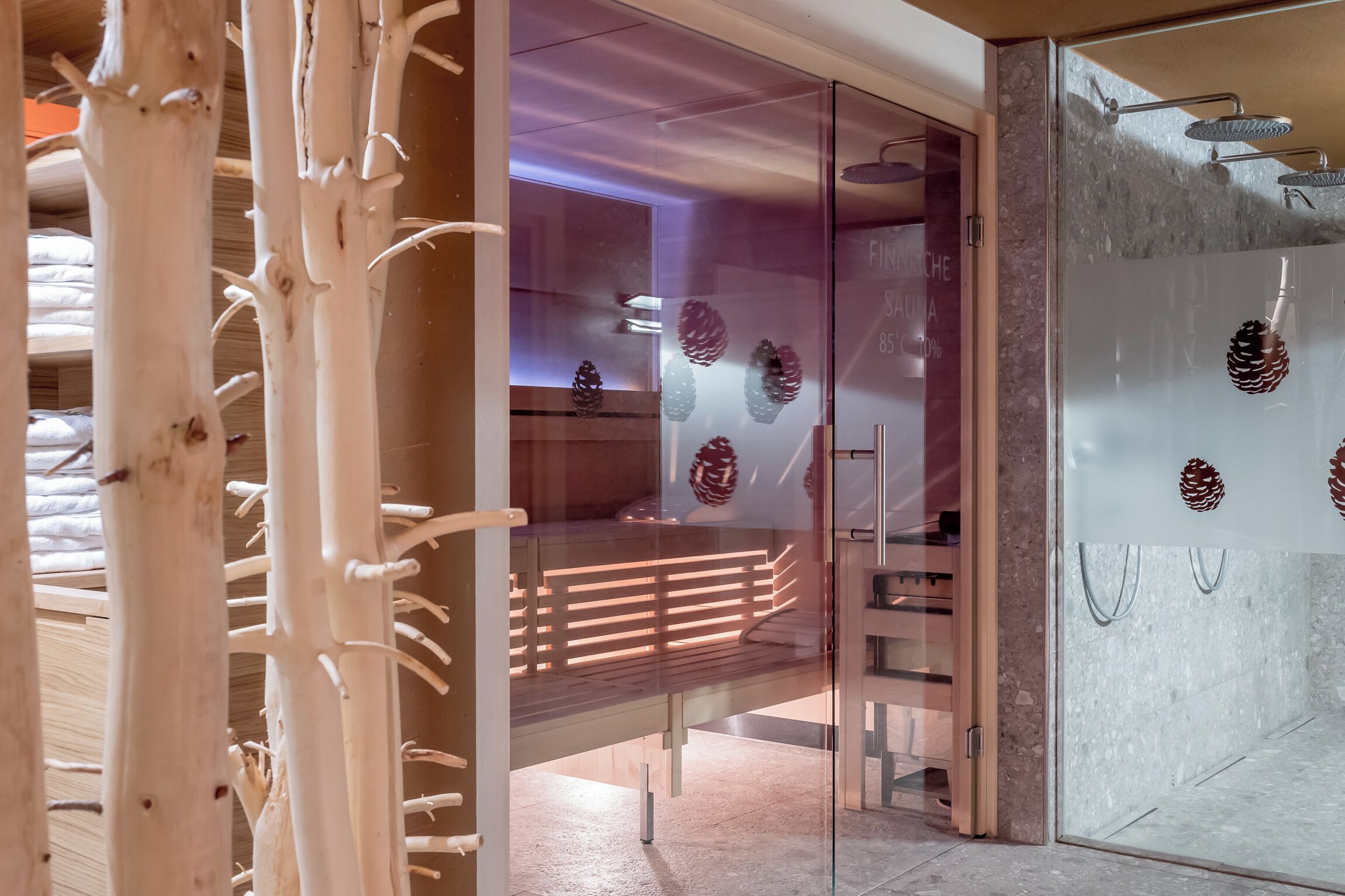 sauna, steam room