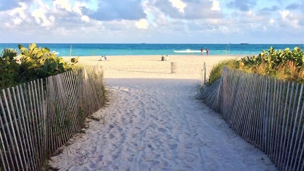 A sandy beach path leading to the ocean with a wooden fence on either side. - Apartment on the Beach (Miami Beach)
