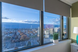 Vista desde la habitación