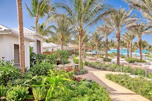 3 outdoor pools, cabanas (surcharge), pool umbrellas
