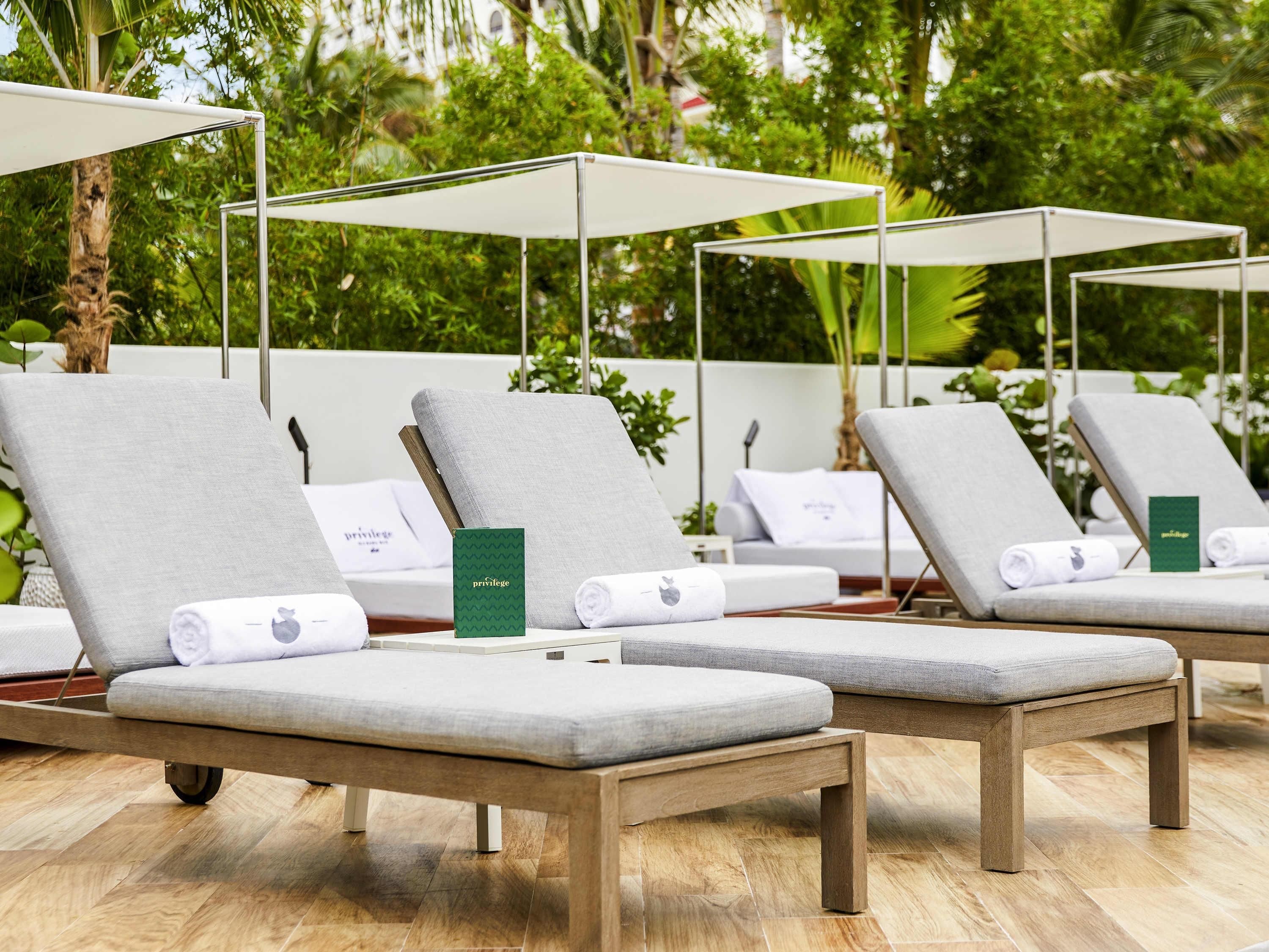 A row of lounge chairs with cushions, a wooden bench, and a green card on each chair.