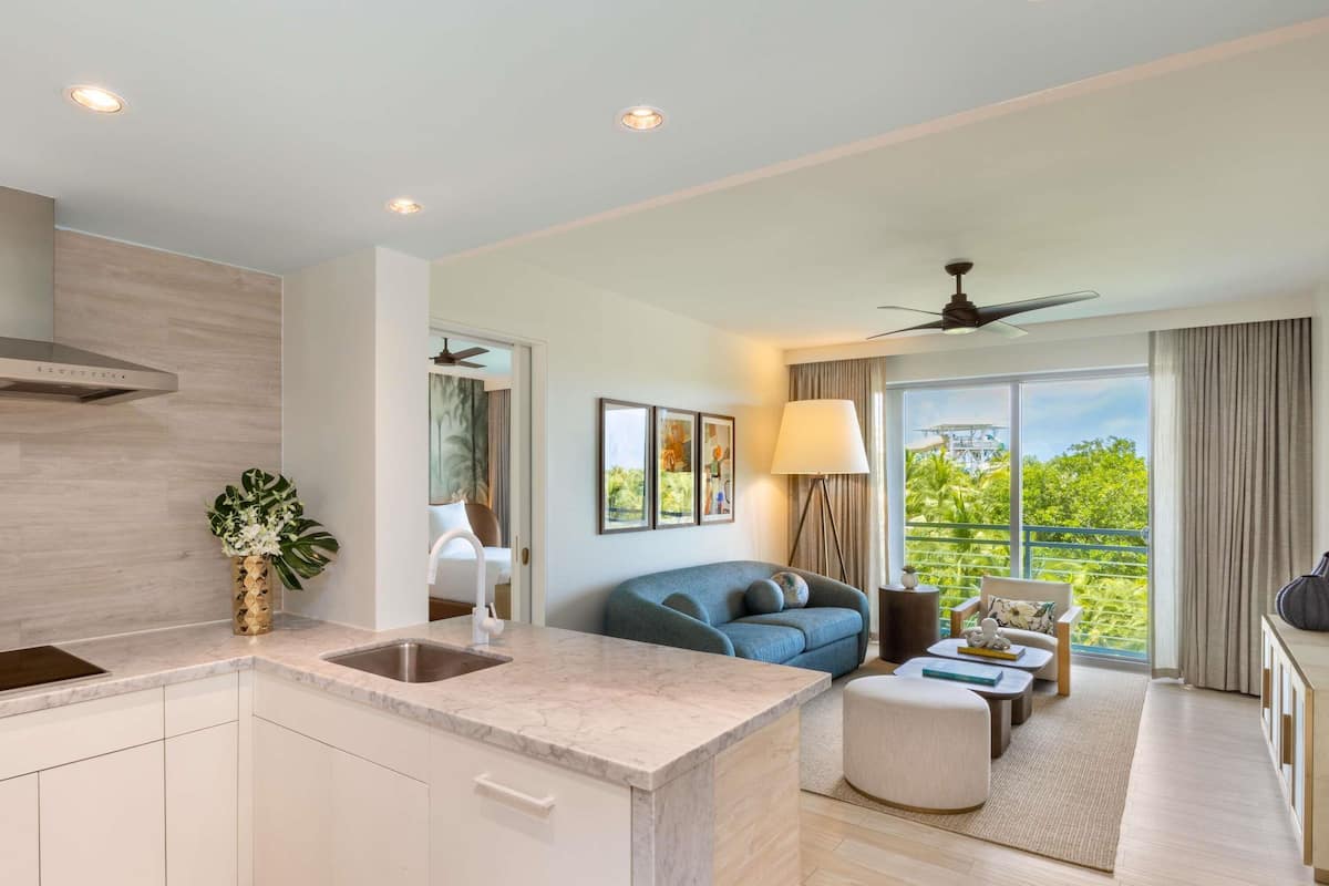 1 bedroom, Egyptian cotton sheets, premium bedding, down comforters