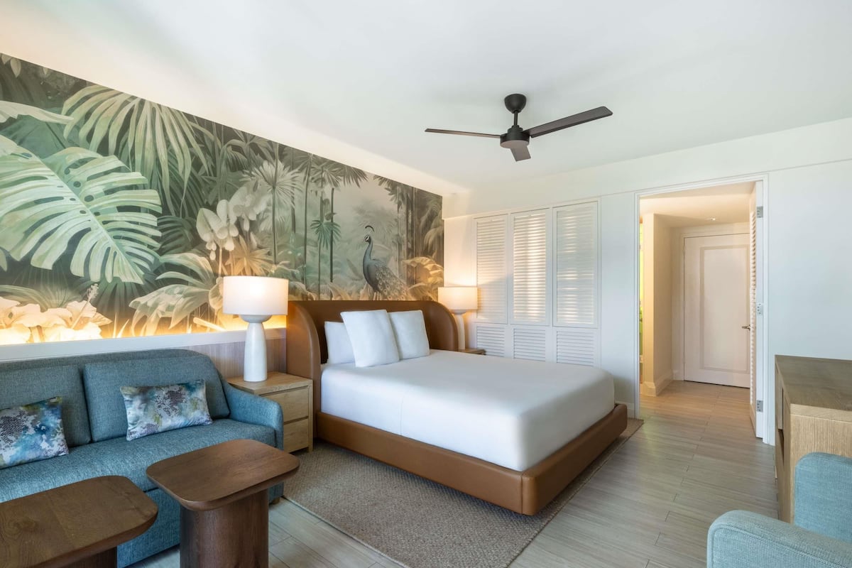 1 bedroom, Egyptian cotton sheets, premium bedding, down comforters