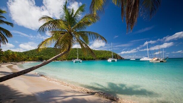 On the beach, white sand, sun-loungers, beach towels - Salt Whistle Bay Retreat (Mayreau Island)