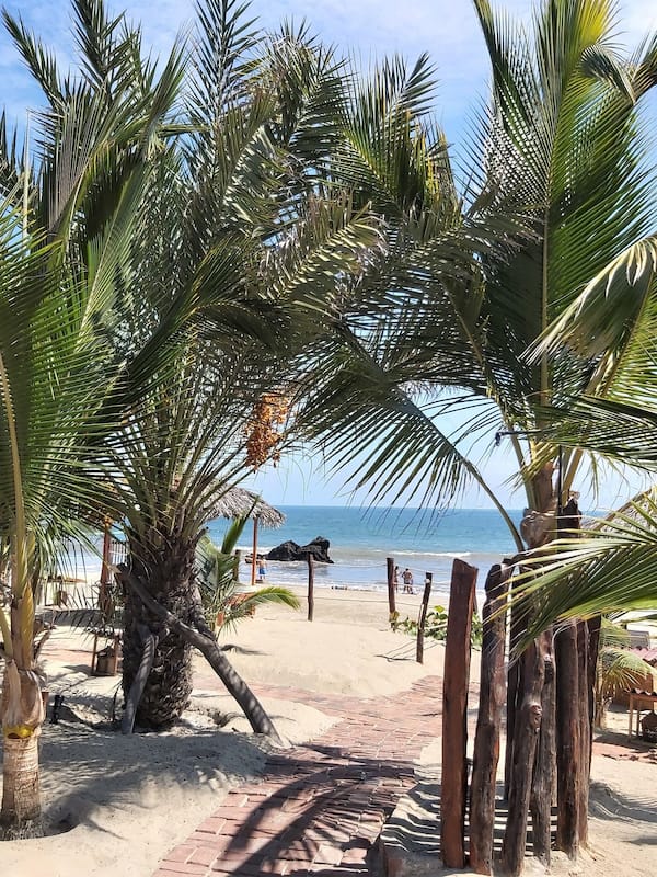 Beach/ocean view
