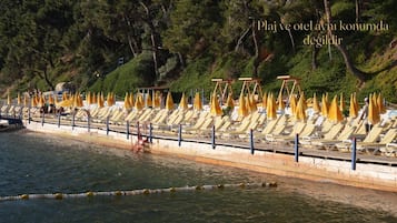 Playa privada en los alrededores y traslado desde/hacia la playa gratis