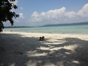 On the beach